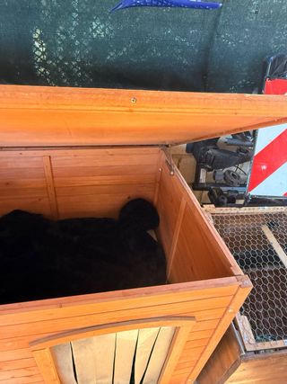 Casa para mascotas exterior madera gigante