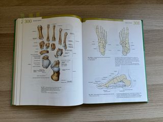 Sobotta Atlas de Anatomia Humana - Tomo 1 (Span...