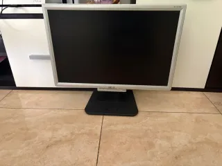 Monitor Acer AL1916W Plata