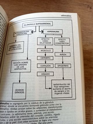 COLECCIÓN MEDICINA Y SALUD. GUIA PRÁCTICA DE A -Z