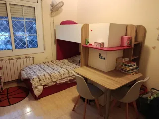 Litera con escritorio y armario