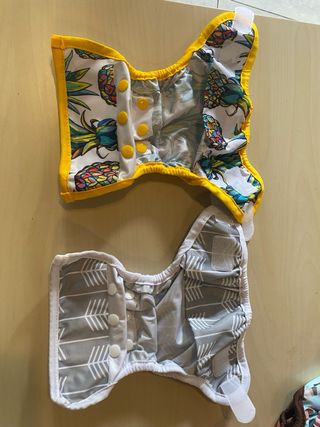 6 Pañales de Tela Nuevos + 2 Absorbentes