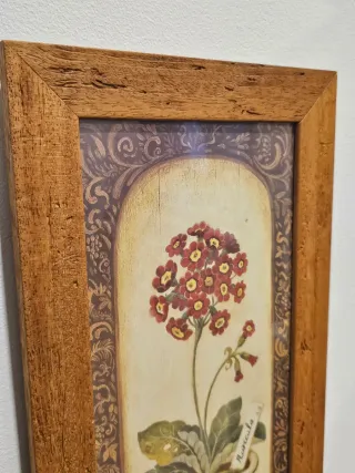 Cuadros de Flores Decorativos