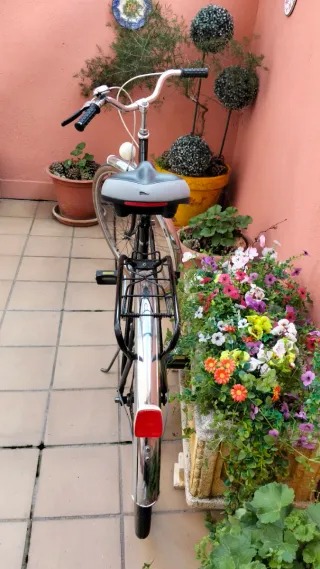 Bicicleta BH Clásica 50 Años Colección