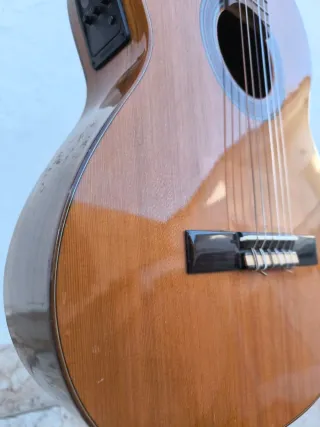 Guitarra Española Raimundo 120EC con previo