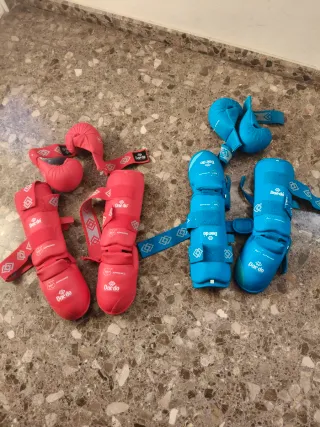 Par de protecciones Karate Daedo (Guantes y Empein