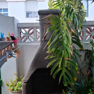 Barbacoa de piedra 2.22 de alto 1 metro ancho 0.70