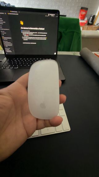 Teclado y Ratón Apple Magic