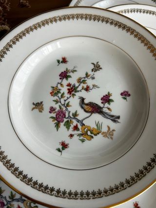 Platos hondos Limoges Ave del paraiso