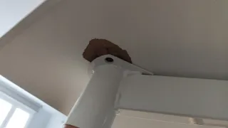 Mesa comedor blanca patas madera