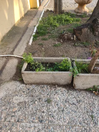 Jardinera hormigón dos tamaños diferentes.