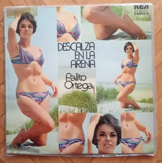 Vinilo Palito Ortega
