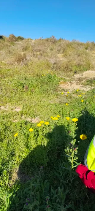 Se necesita gente para trabajar en campo Cartagena