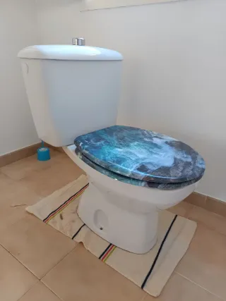 WC blanco de porcelana con tapa de plástico azul