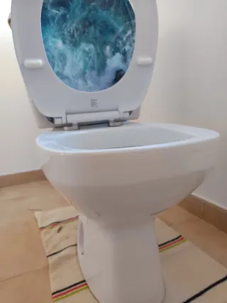 WC blanco de porcelana con tapa de plástico azul