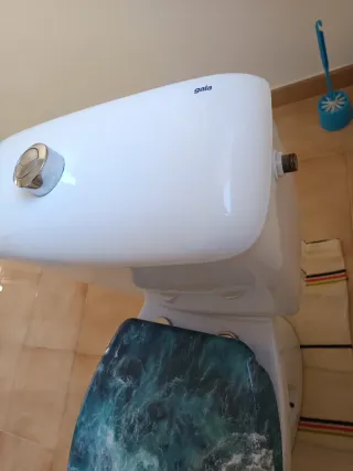 WC blanco de porcelana con tapa de plástico azul