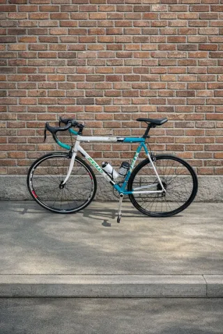 Bicicleta Zeus Vintage Talla M/L