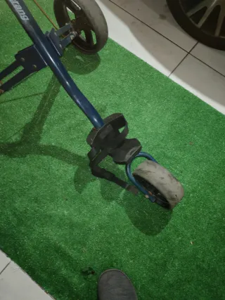 Carrinho de Golfe 3 Rodas