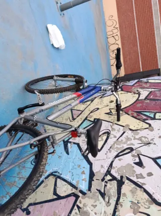 Bicicleta Boomerang