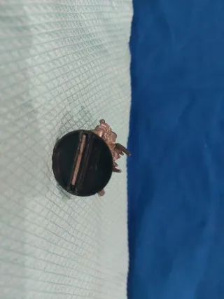 Karandras Warhammer 40k antiguo