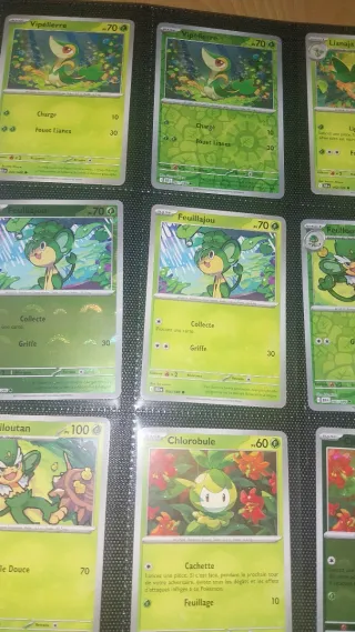 Coleccion pokemon en Francés