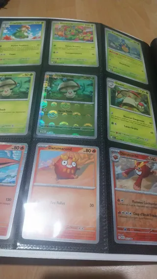 Coleccion pokemon en Francés