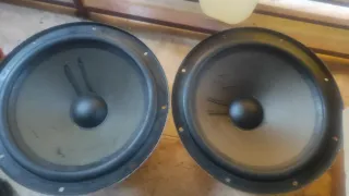 Philips woofer ad12100w8