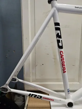 ♦️ BETULLA PISTA ♦️