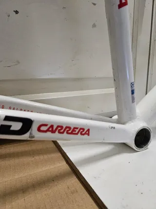 ♦️ BETULLA PISTA ♦️