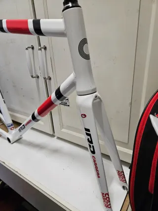 ♦️ BETULLA PISTA ♦️