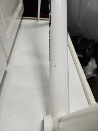 ♦️ BETULLA PISTA ♦️