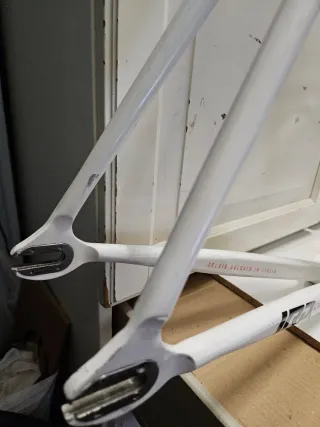 ♦️ BETULLA PISTA ♦️