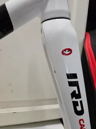 ♦️ BETULLA PISTA ♦️