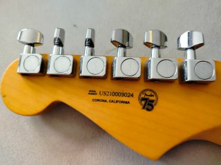 Fender Stratocaster American Pro II