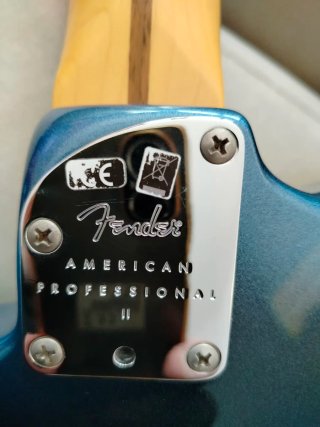 Fender Stratocaster American Pro II