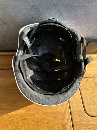 Skate Longboard Manual