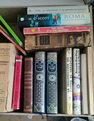 Lote CHOLLO de 35 libros Variados