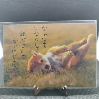 3 Postales Japonesas Akita Inu Hallmark