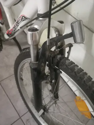 Bicicleta Orbea Loppy 24 Infantil