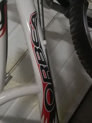 Bicicleta Orbea Loppy 24 Infantil