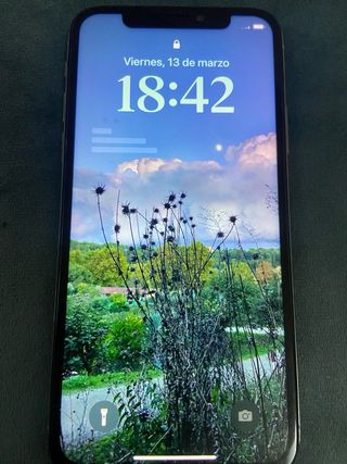 iPhone X 256GB Plata