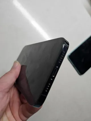 iPhone 12 Pro Max Argento