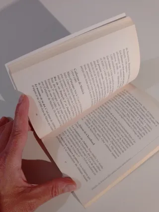 Histoire de France 1001 petites leçons particul...