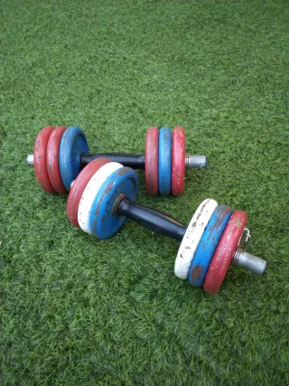 Mancuernas SALTER 6kg