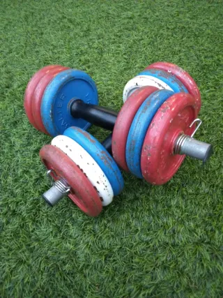 Mancuernas SALTER 6kg