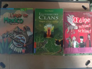 Lote 11 libros para niños de 9-10 años en francés