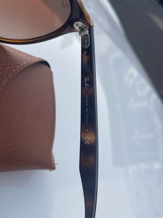 Ray-Ban Blaze Panthos RB4380N Originales + Funda