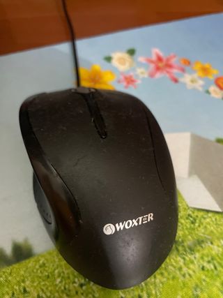 Schermo, Tastiera, Mouse e Altoparlanti