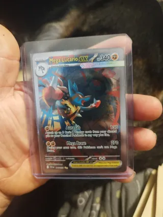 Carta Pokémon Charizard EX 330 HP SAR