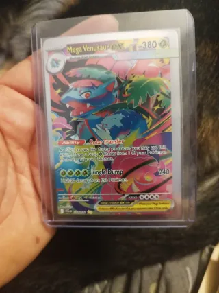 Carta Pokémon Charizard EX 330 HP SAR
